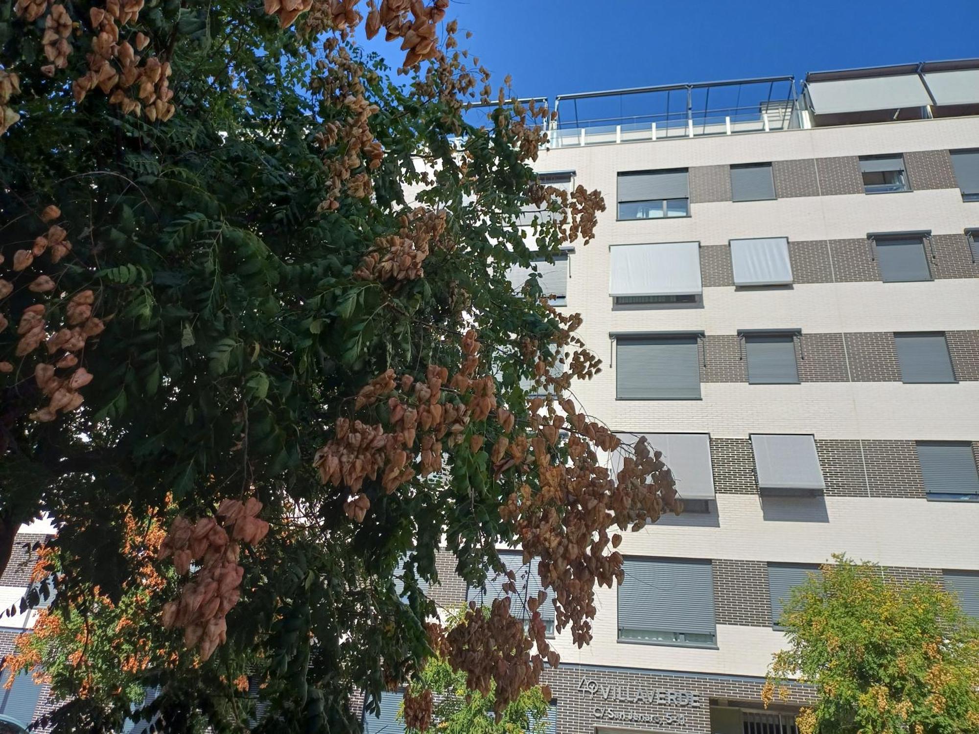 Estudios Nuevos Madrid Centro Exteriér fotografie